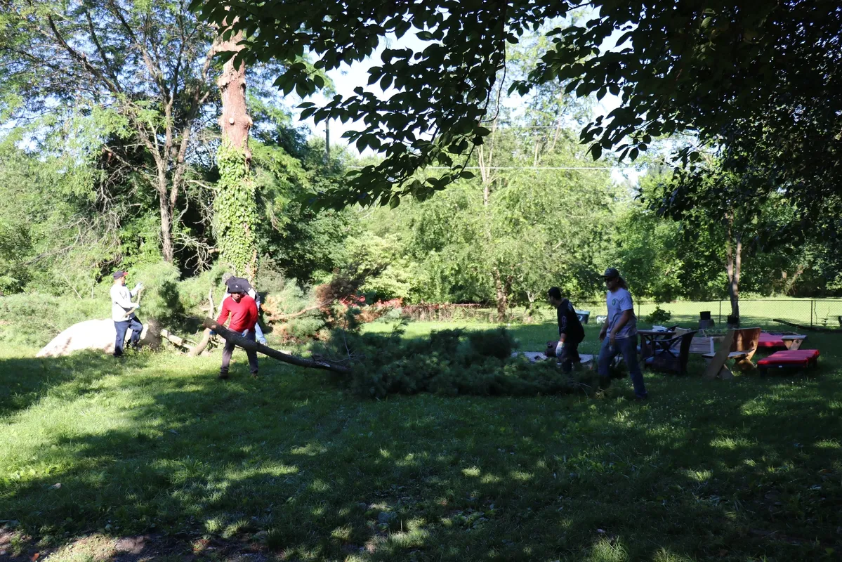 Patrick Musser removing tree