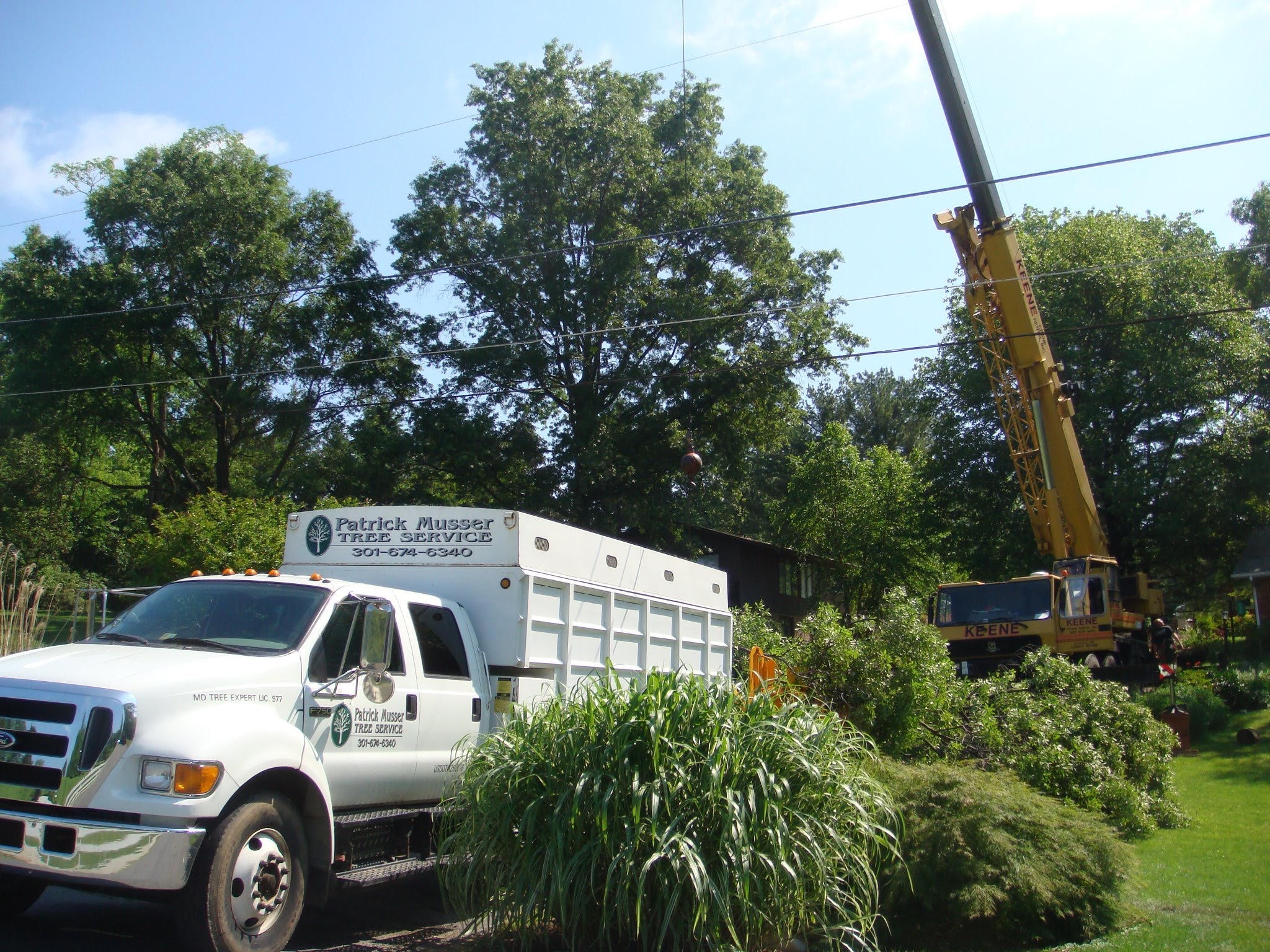 Tree Service Truck and Equipment in Bethesda MD