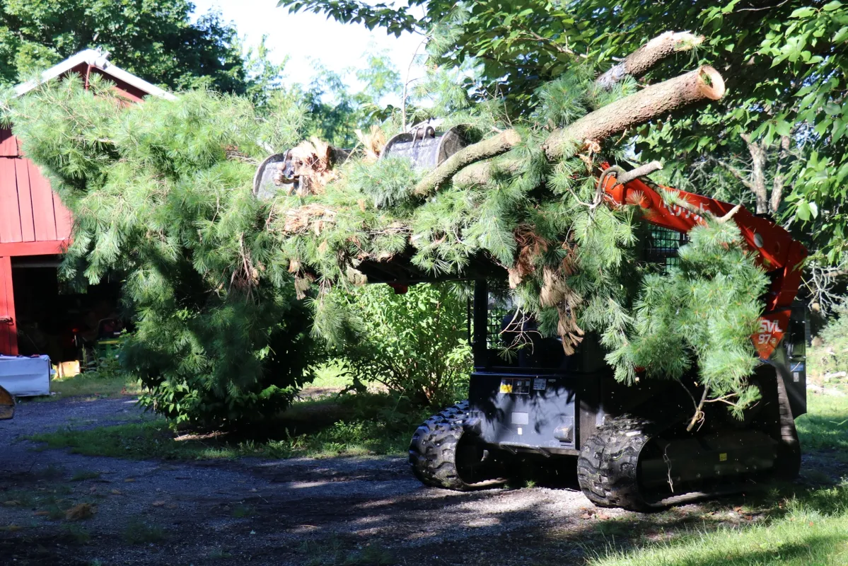 Truck for picking up tree