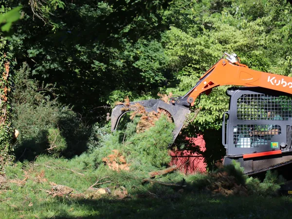 truck for removing tree