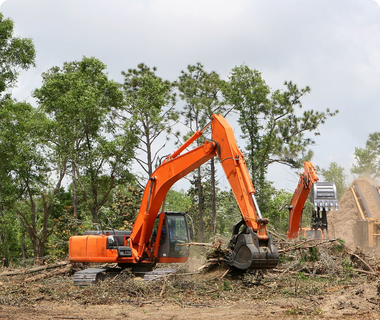 lot clearing trees