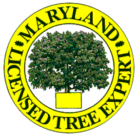 md certified tree expert