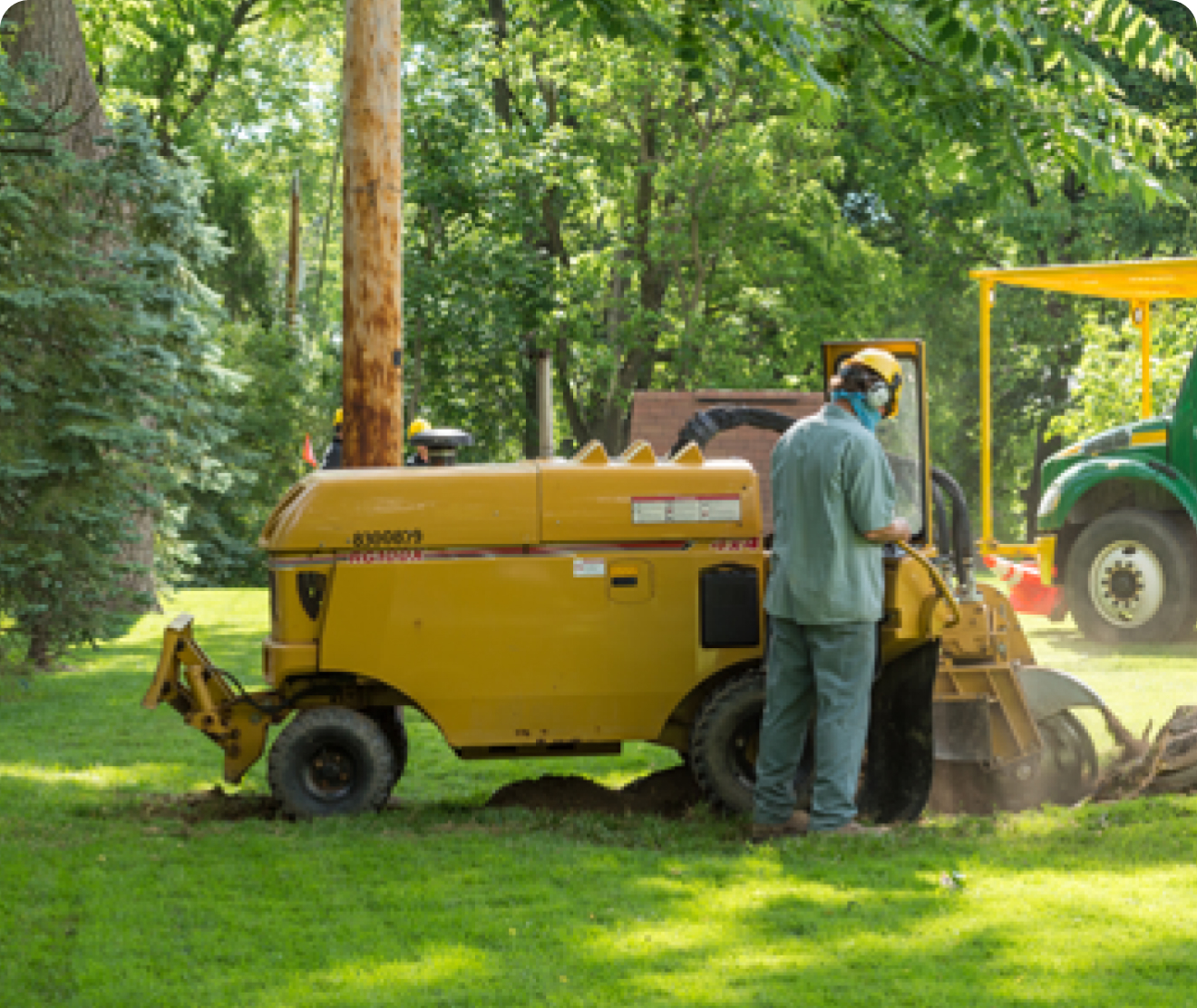 Stump Grinding