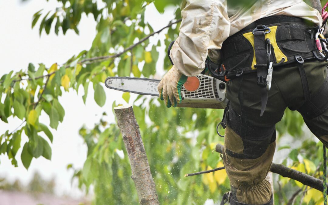 How Does Pruning Help the Growth of Trees?