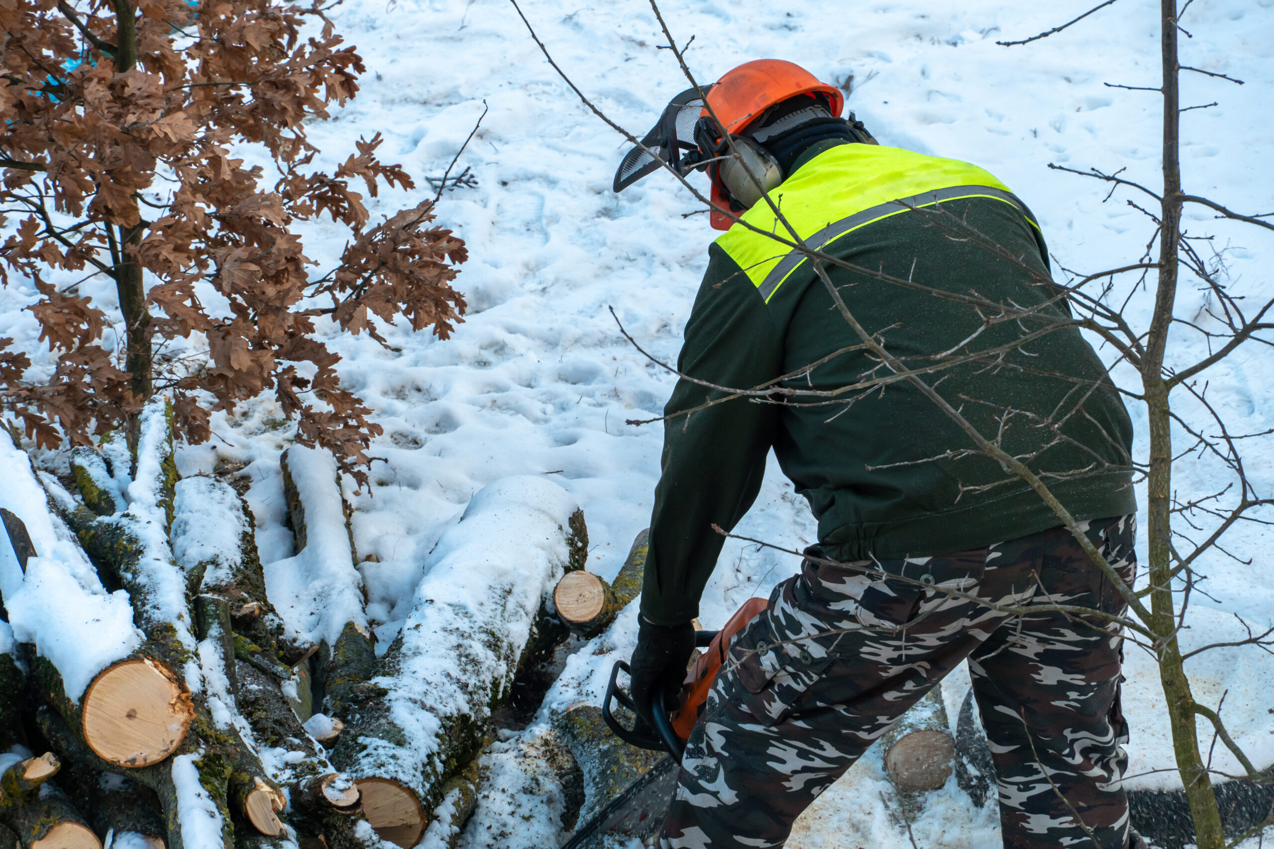 Emergency Tree Services in Winter