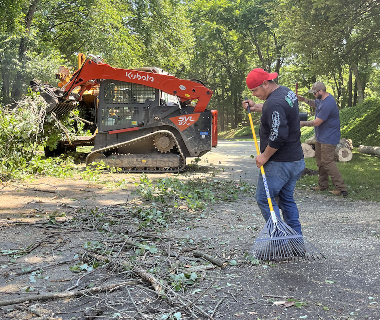 lot clearing trees